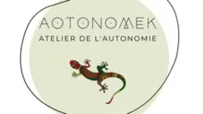 aotonomek.webp