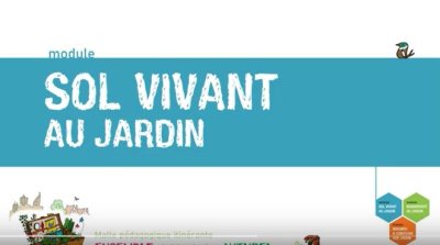 sol_vivant.JPG