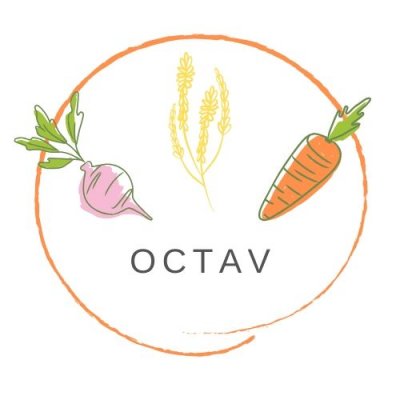 OCTAV_Logo2_jpeg.jpg