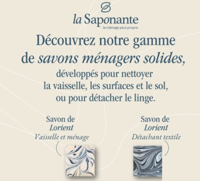 saponante.jpg
